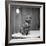 Jasper the cat 1972-Staff-Framed Photographic Print