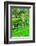 Jatiluwih rice terrace, a popular tourist experience near the center of Bali close to Ubud.-Greg Johnston-Framed Photographic Print