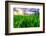 Jatiluwih rice terrace, a popular tourist experience near the center of Bali close to Ubud.-Greg Johnston-Framed Photographic Print