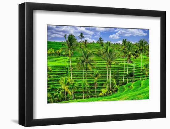 Jatiluwih rice terrace, a popular tourist experience near the center of Bali close to Ubud.-Greg Johnston-Framed Photographic Print