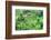 Jatiluwih rice terrace, a popular tourist experience near the center of Bali close to Ubud.-Greg Johnston-Framed Photographic Print