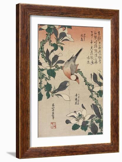 Java Sparrow and Magnolia, C. 1832-Katsushika Hokusai-Framed Giclee Print