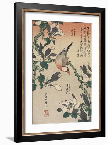 Java Sparrow and Magnolia, C. 1832-Katsushika Hokusai-Framed Giclee Print
