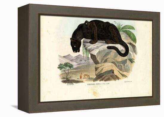 Javan Leopard, 1863-79-Raimundo Petraroja-Framed Premier Image Canvas