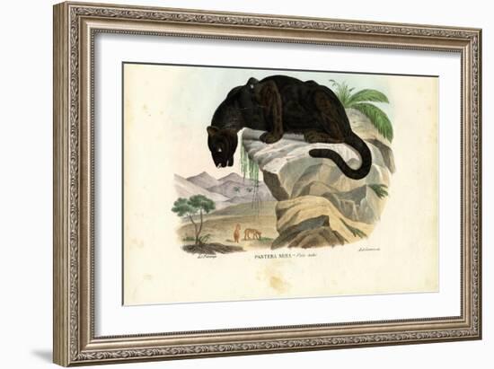 Javan Leopard, 1863-79-Raimundo Petraroja-Framed Giclee Print