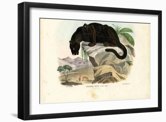 Javan Leopard, 1863-79-Raimundo Petraroja-Framed Giclee Print