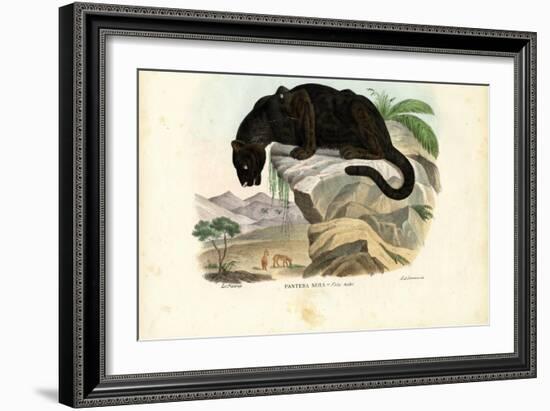 Javan Leopard, 1863-79-Raimundo Petraroja-Framed Giclee Print