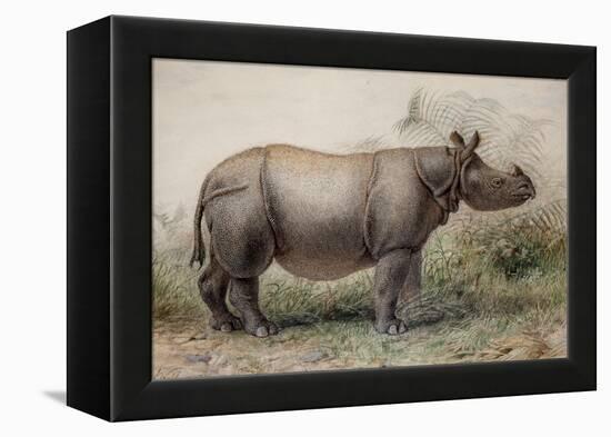 Javan Rhinoceros, 1874-Joseph Wolf-Framed Premier Image Canvas