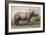 Javan Rhinoceros, 1874-Joseph Wolf-Framed Giclee Print