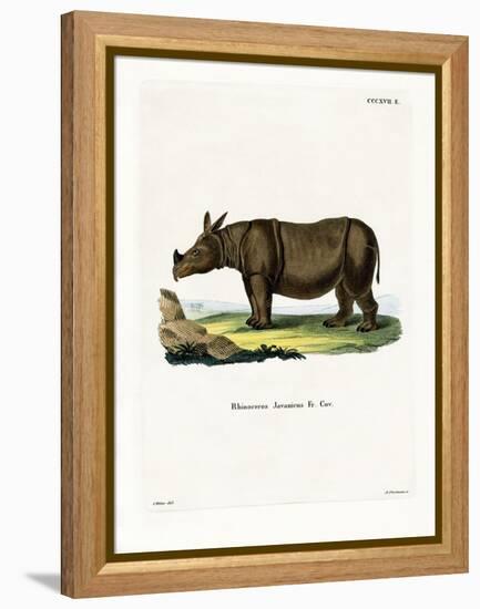 Javan Rhinoceros-null-Framed Premier Image Canvas