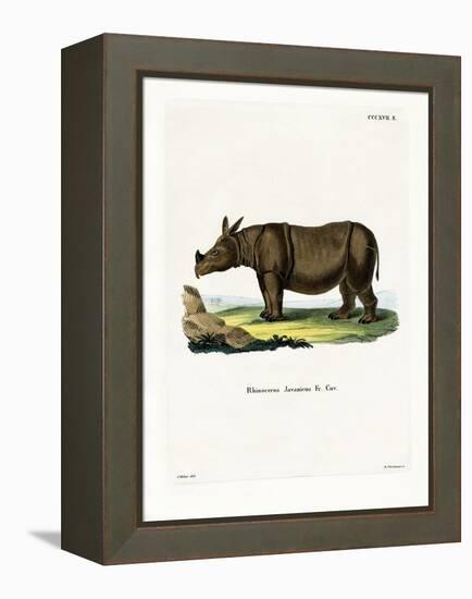 Javan Rhinoceros-null-Framed Premier Image Canvas