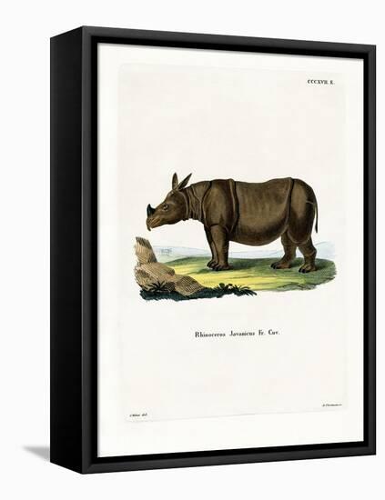 Javan Rhinoceros-null-Framed Premier Image Canvas