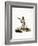 Javan Silvery Gibbon-null-Framed Giclee Print