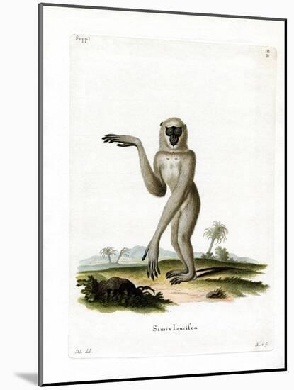 Javan Silvery Gibbon-null-Mounted Giclee Print