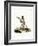 Javan Silvery Gibbon-null-Framed Giclee Print