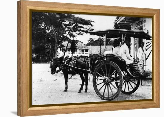 Javanese Horse Cab-null-Framed Premier Image Canvas