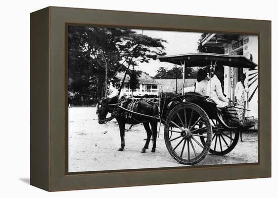 Javanese Horse Cab-null-Framed Premier Image Canvas