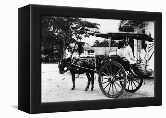 Javanese Horse Cab-null-Framed Premier Image Canvas