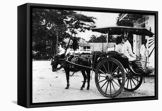 Javanese Horse Cab-null-Framed Premier Image Canvas