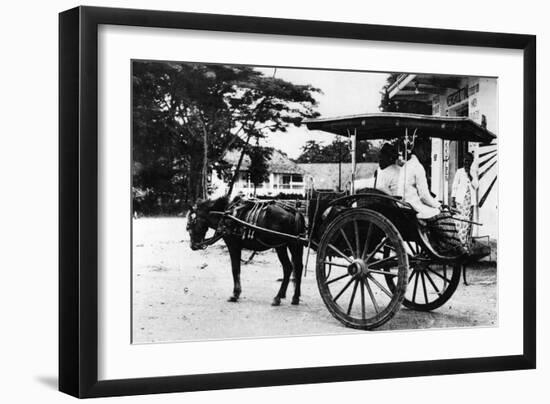 Javanese Horse Cab-null-Framed Photographic Print