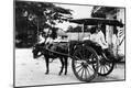 Photographic Print