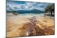 Photographic Print