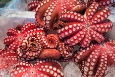 Red Live Octopus at Tsukiji Fish Market, Tokyo, Japan-javarman-Photographic Print