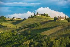 Vineyards of Langhe, Piedmont, UNESCO World Heritage-javarman-Photographic Print