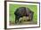 Javelina Mother with Young-null-Framed Photographic Print