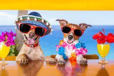 Summer Holiday Dog-Javier Brosch-Photographic Print
