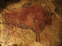Altamira Cave Painting of a Bison-Javier Trueba-Framed Photographic Print