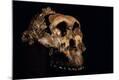 Photographic Print