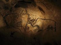 Stone-age Cave Paintings, Lascaux, France-Javier Trueba-Photographic Print