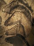 Stone-age Cave Paintings, Asturias, Spain-Javier Trueba-Framed Photographic Print