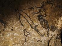 Stone-age Cave Paintings, Chauvet, France-Javier Trueba-Photographic Print