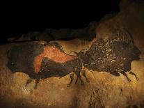 Stone-age Cave Paintings, Lascaux, France-Javier Trueba-Photographic Print