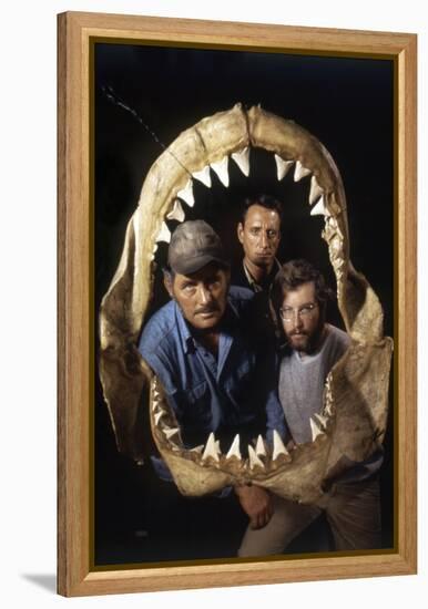 Jaws, Robert Shaw, Roy Scheider, Richard Dreyfuss, Directed by Steven Spielberg, 1975-null-Framed Stretched Canvas