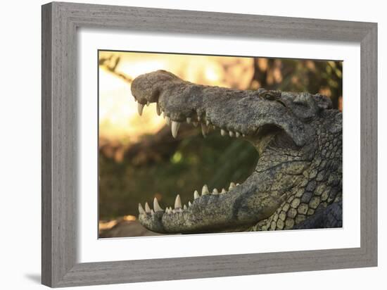 Jaws-Dennis Goodman-Framed Photographic Print