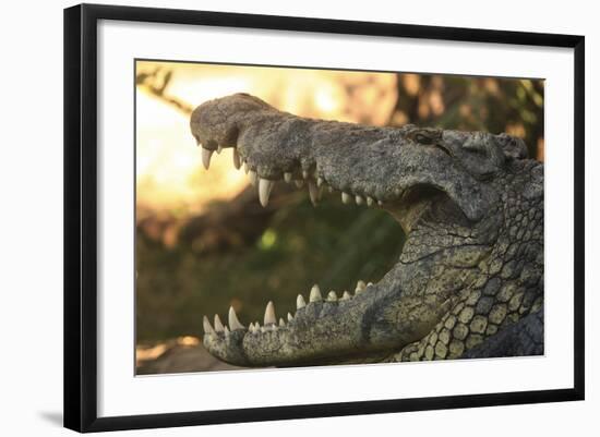 Jaws-Dennis Goodman-Framed Photographic Print