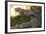 Jaws-Dennis Goodman-Framed Photographic Print