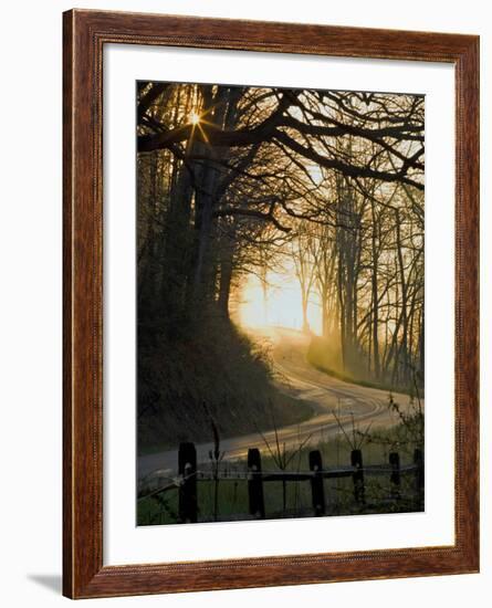 Jaxbean-Jim Crotty-Framed Photographic Print