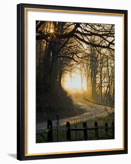 Jaxbean-Jim Crotty-Framed Photographic Print