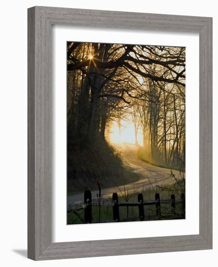 Jaxbean-Jim Crotty-Framed Photographic Print