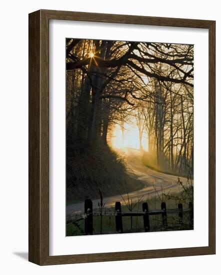 Jaxbean-Jim Crotty-Framed Photographic Print