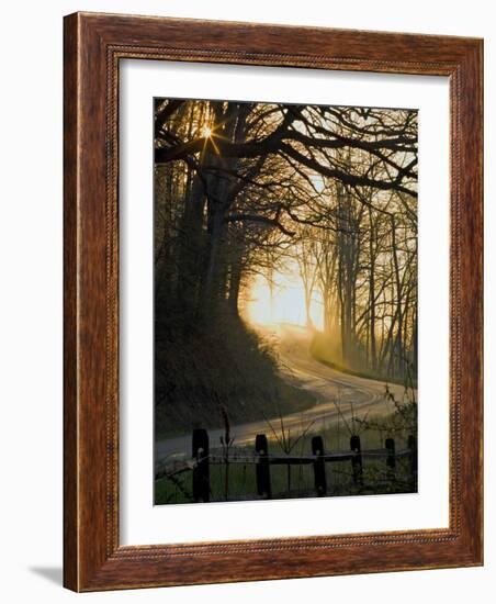 Jaxbean-Jim Crotty-Framed Photographic Print