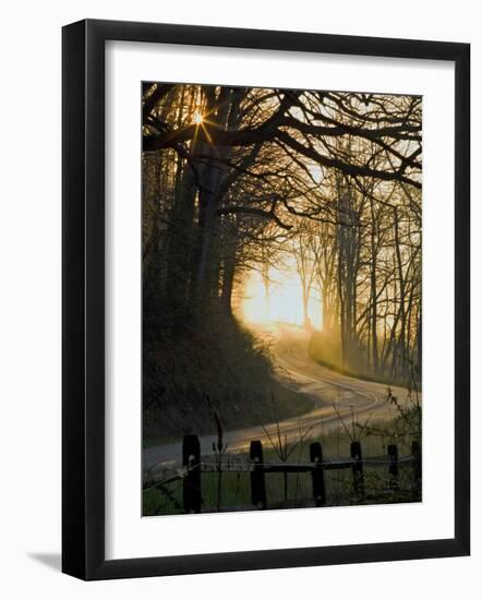 Jaxbean-Jim Crotty-Framed Photographic Print