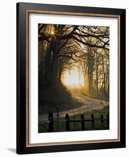 Jaxbean-Jim Crotty-Framed Photographic Print