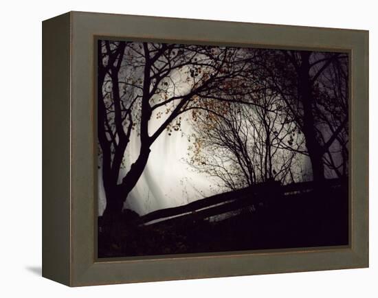 Jaxtag-Sharon Wish-Framed Premier Image Canvas