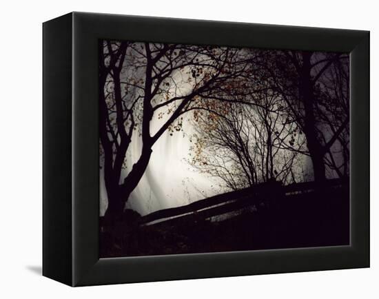 Jaxtag-Sharon Wish-Framed Premier Image Canvas