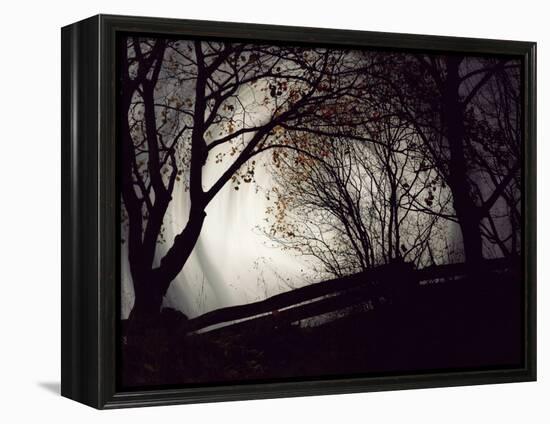 Jaxtag-Sharon Wish-Framed Premier Image Canvas